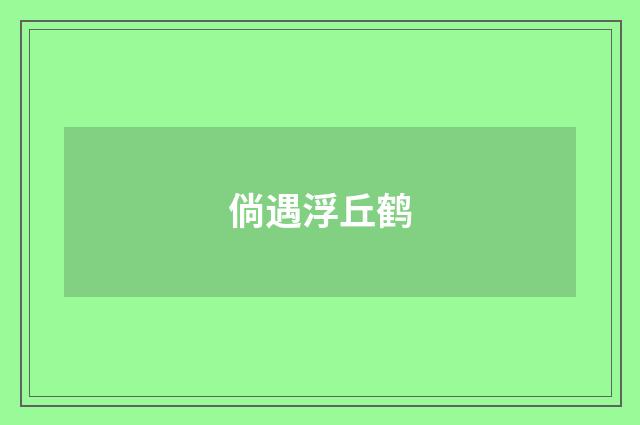 倘遇浮丘鹤