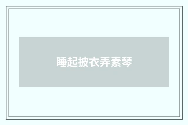 睡起披衣弄素琴