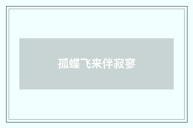 孤蝶飞来伴寂寥