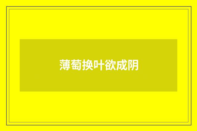 薄萄换叶欲成阴