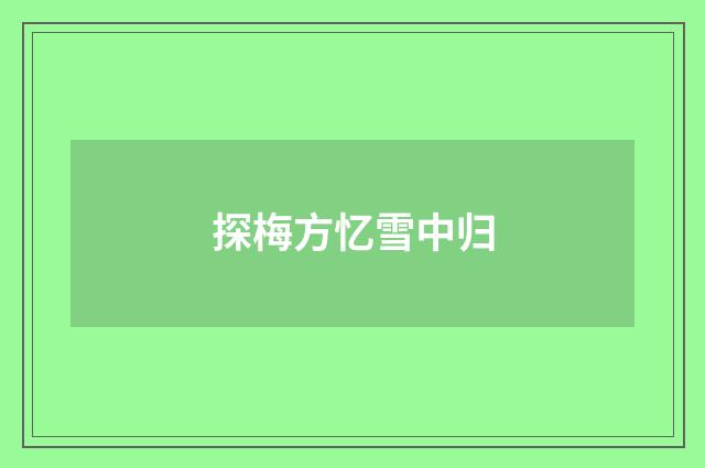 探梅方忆雪中归