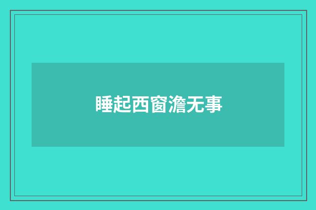 睡起西窗澹无事