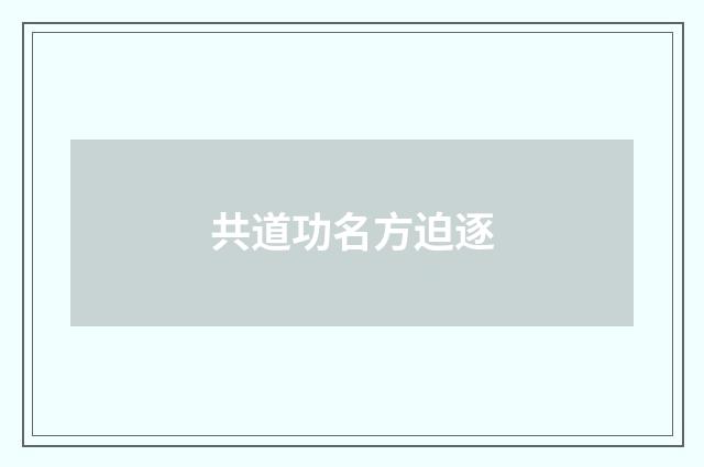 共道功名方迫逐