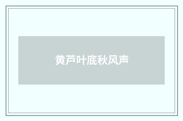 黄芦叶底秋风声