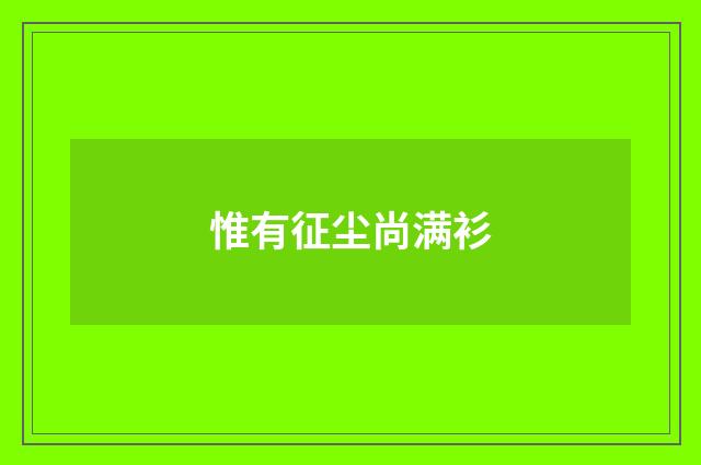 惟有征尘尚满衫