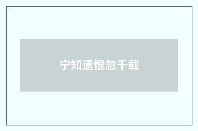 宁知遗恨忽千载