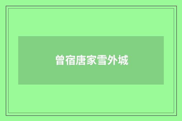 曾宿唐家雪外城