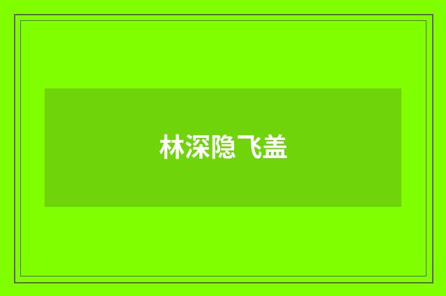 林深隐飞盖