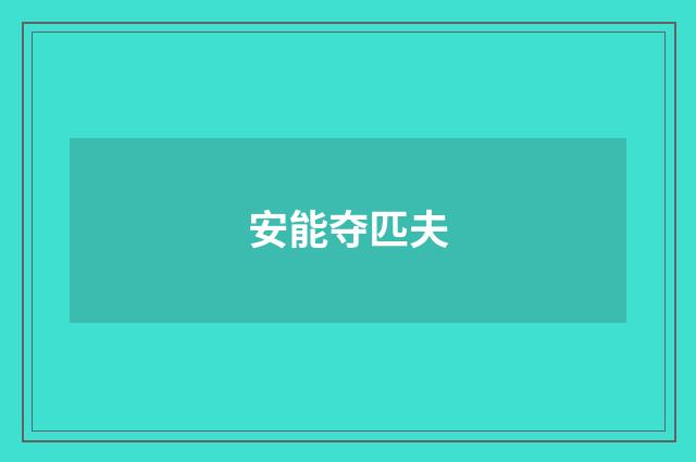 安能夺匹夫