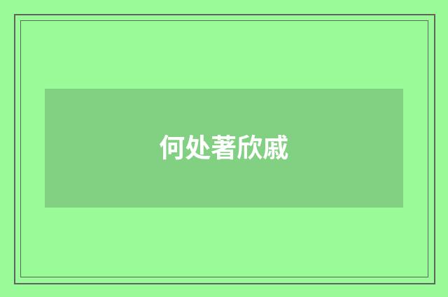 何处著欣戚
