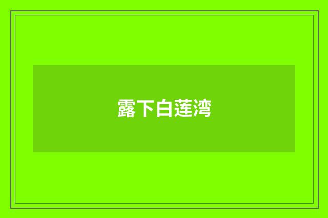 露下白莲湾