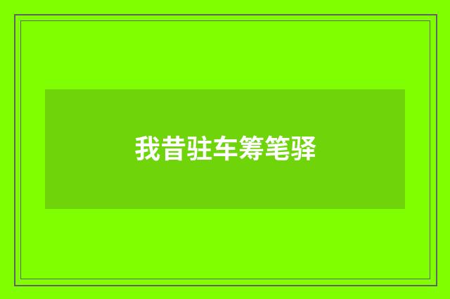 我昔驻车筹笔驿
