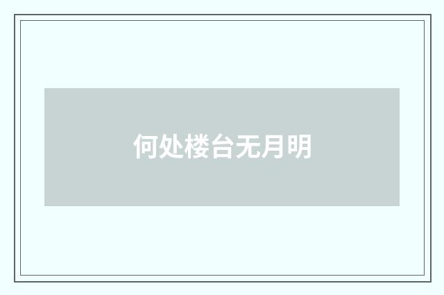 何处楼台无月明