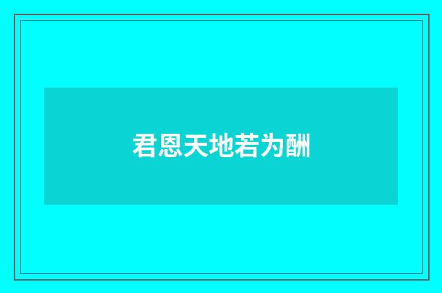 君恩天地若为酬