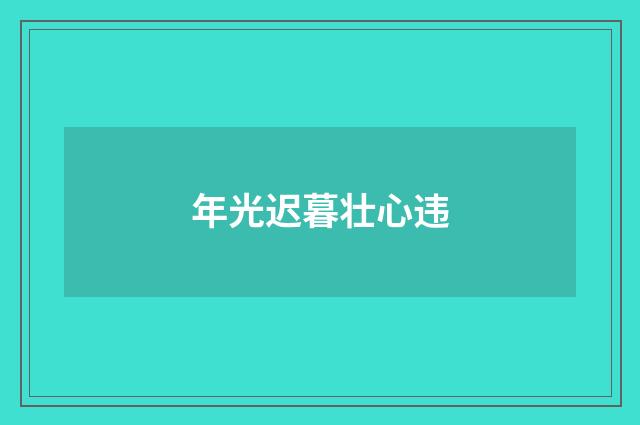 年光迟暮壮心违