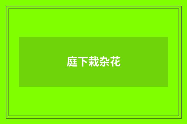 庭下栽杂花