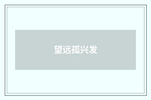 望远孤兴发