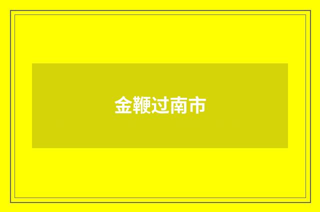 金鞭过南市