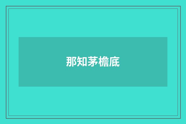 那知茅檐底