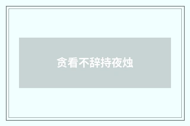 贪看不辞持夜烛