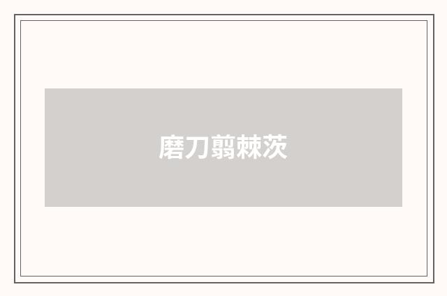 磨刀翦棘茨