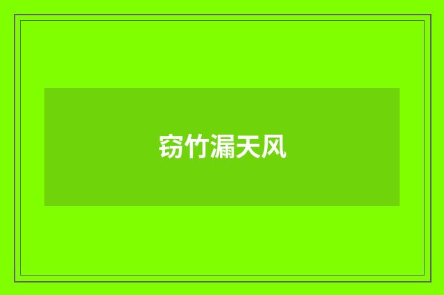 窃竹漏天风