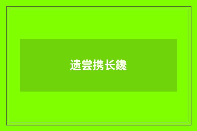 遗尝携长鑱
