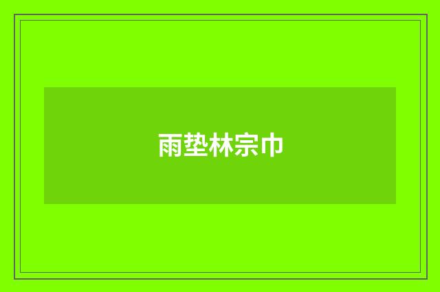 雨垫林宗巾