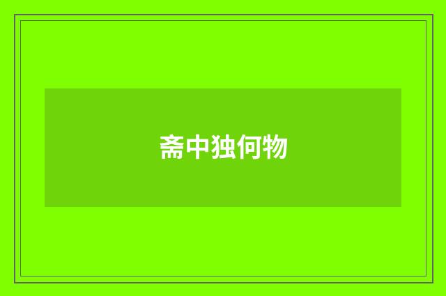 斋中独何物