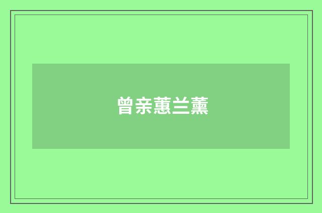 曾亲蕙兰薰