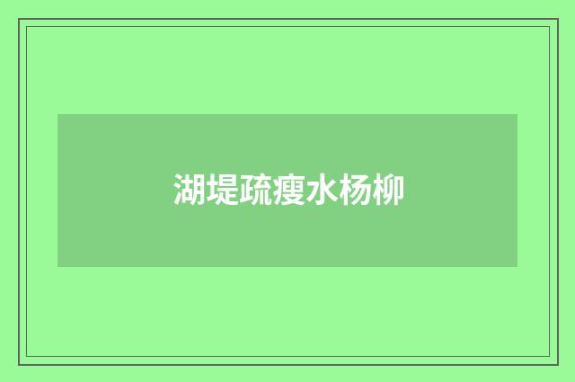 湖堤疏瘦水杨柳