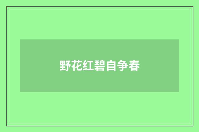 野花红碧自争春