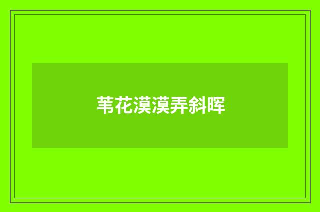 苇花漠漠弄斜晖