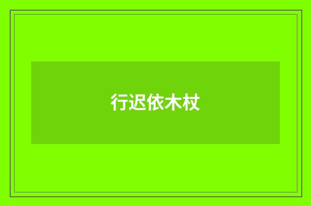 行迟依木杖