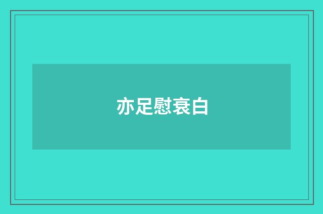 亦足慰衰白