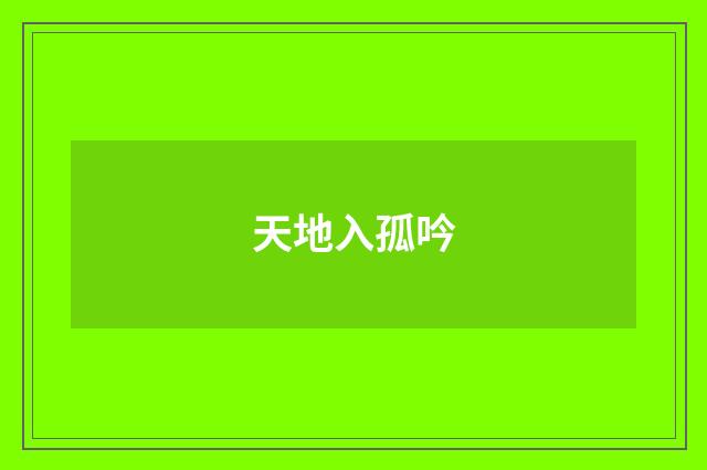 天地入孤吟
