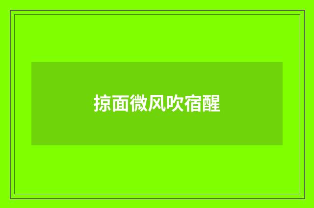 掠面微风吹宿醒