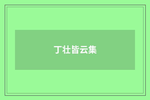 丁壮皆云集