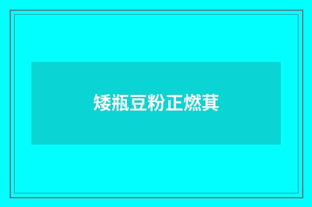 矮瓶豆粉正燃萁