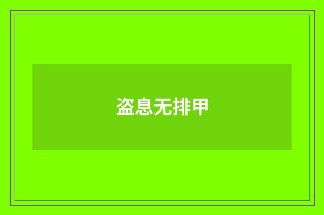 盗息无排甲