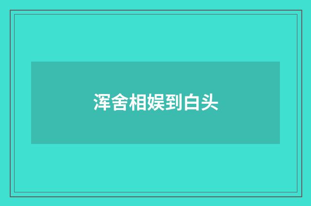 浑舍相娱到白头