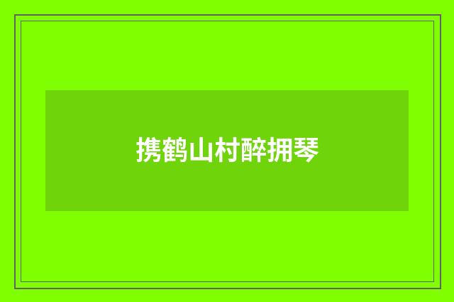 携鹤山村醉拥琴