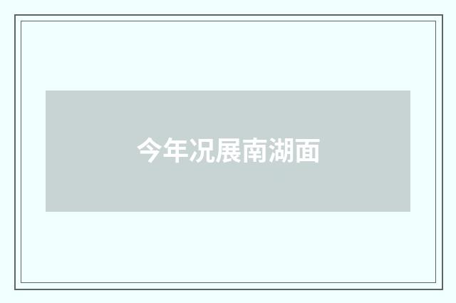 今年况展南湖面