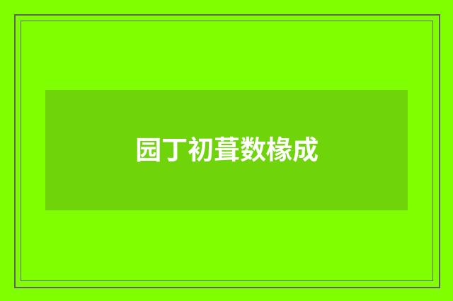 园丁初葺数椽成