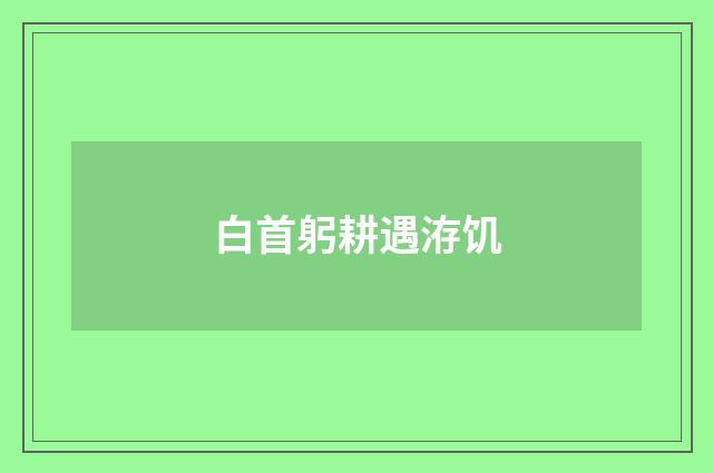 白首躬耕遇洊饥