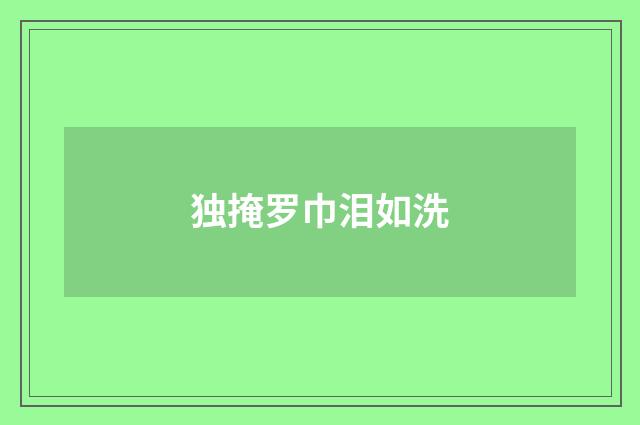 独掩罗巾泪如洗