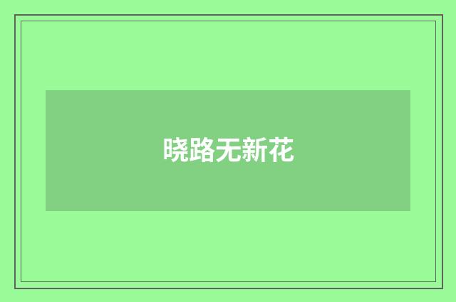 晓路无新花