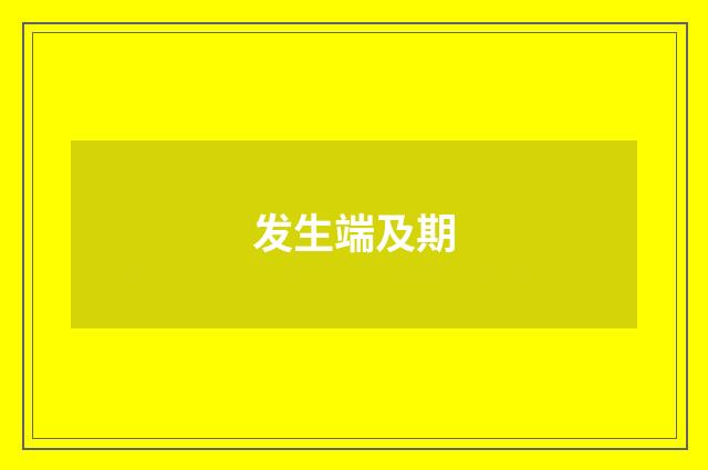 发生端及期