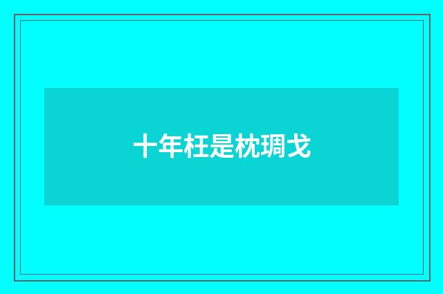 十年枉是枕琱戈