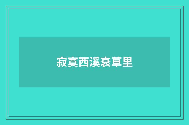 寂寞西溪衰草里